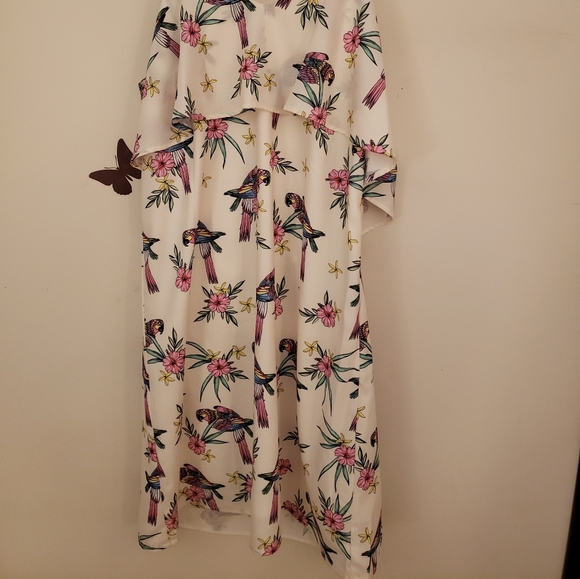 MOLLY BRACKEN TROPICAL PARROT DRESS - Picture 11 of 13